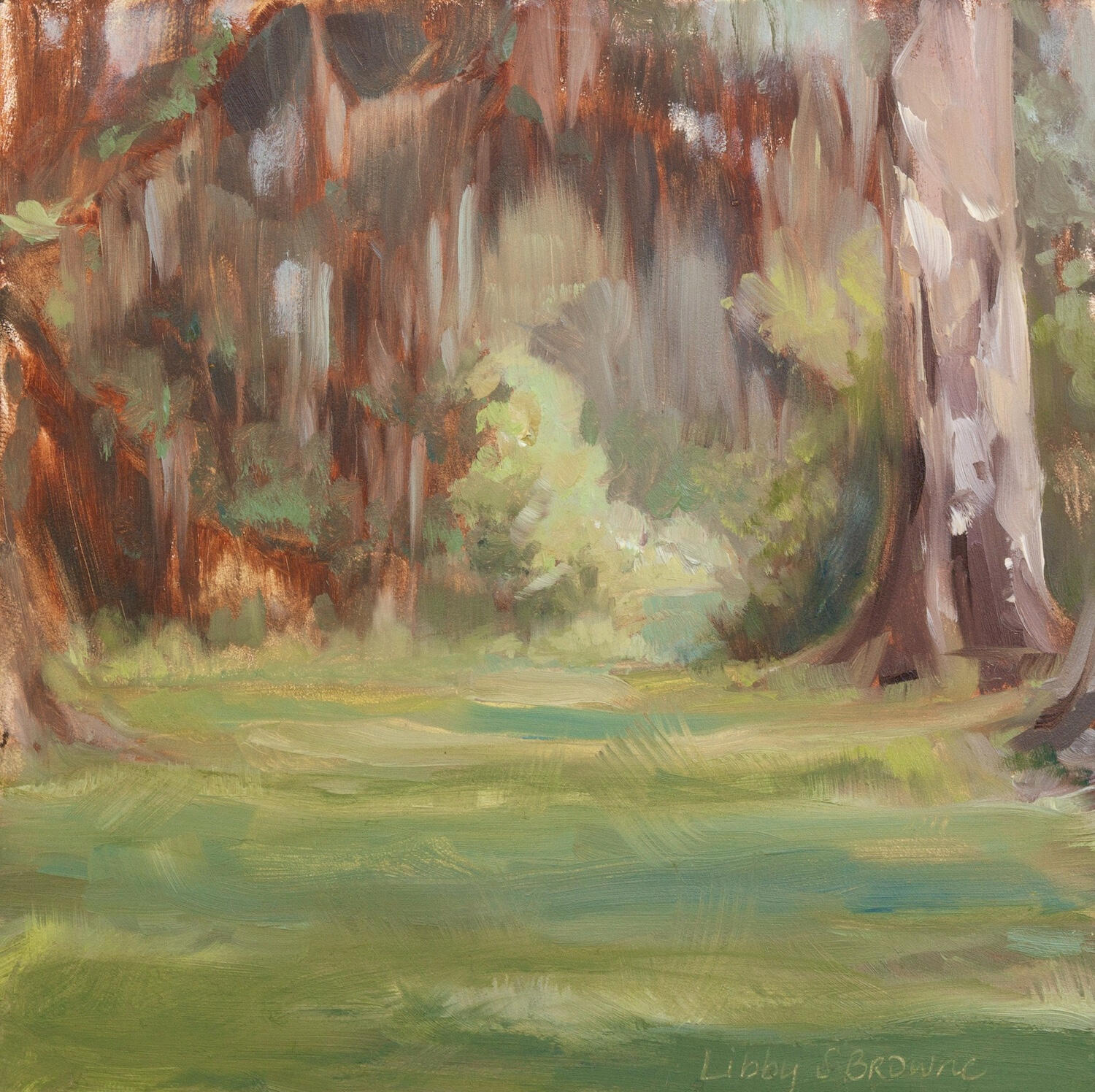 An oil painting of oak trees and a meadow clearing in North Florida by Libby Browne
