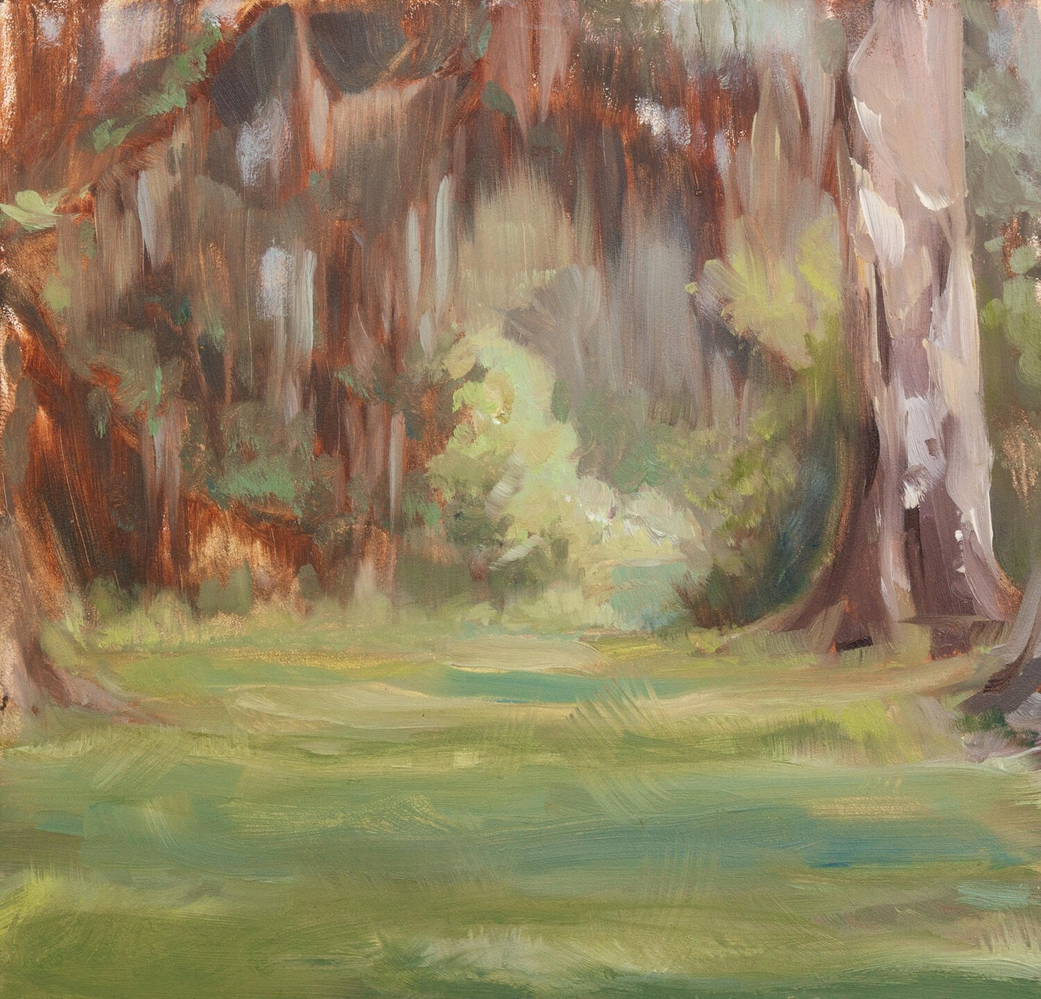 Through the Oaks_Oil Painting_Libby Browne An oil painting of oak trees and a meadow clearing in North Florida by Libby Browne